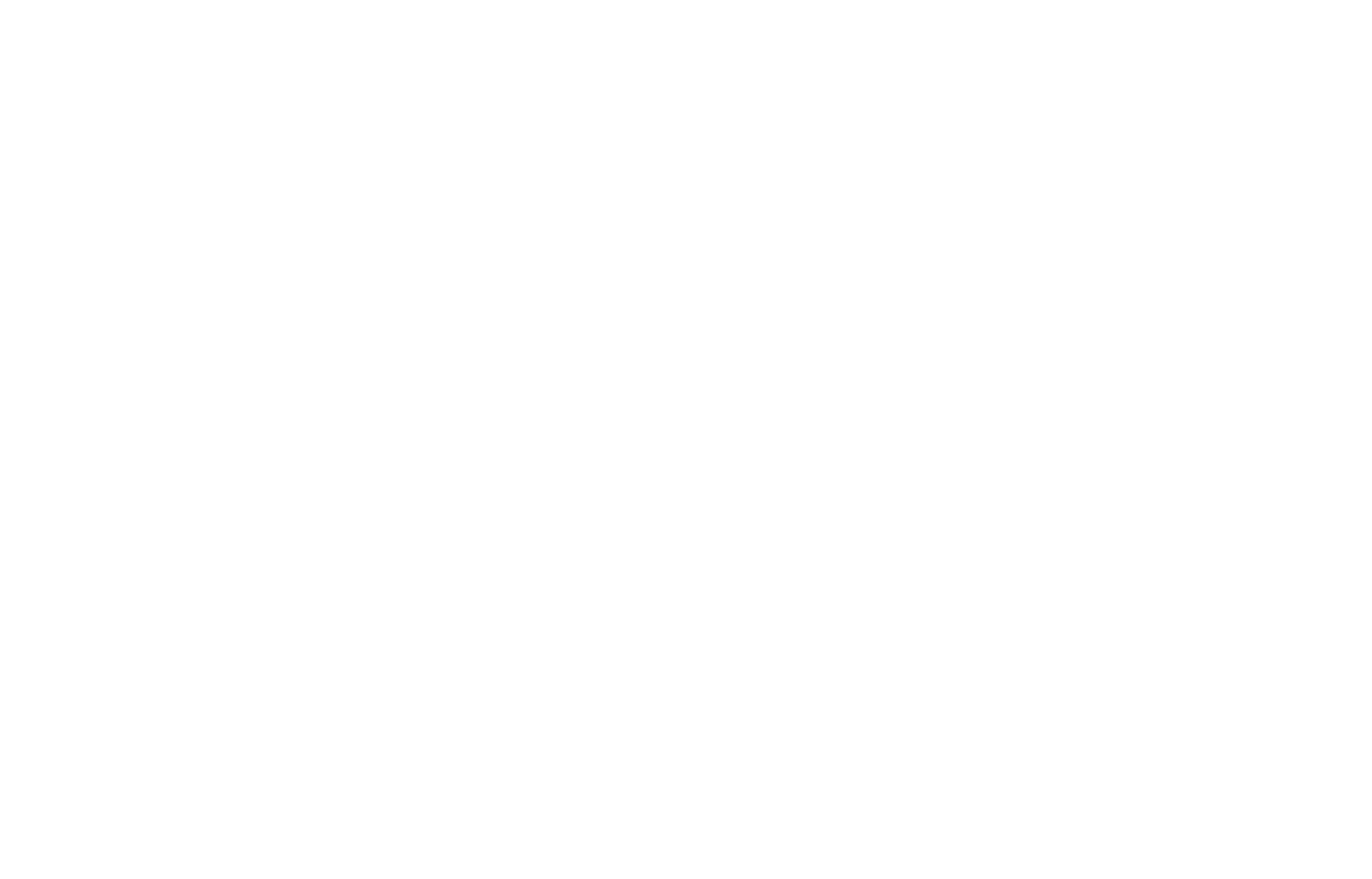 nassber logo